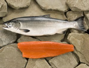 Рыба кижуч: польза и вред для организма